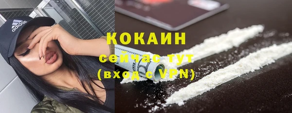 ALPHA PVP Снежинск