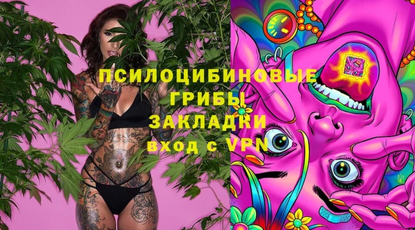 мдма Богданович