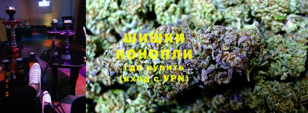 МДПВ Богородск