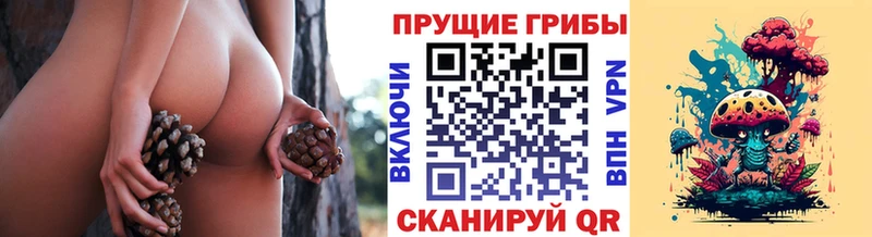 Псилоцибиновые грибы Magic Shrooms  blacksprut как зайти  Колпашево  цены  